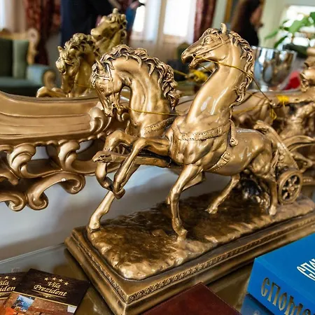 尊贵加尔尼总统酒店及spa中心 斯雷姆斯基卡尔洛夫奇